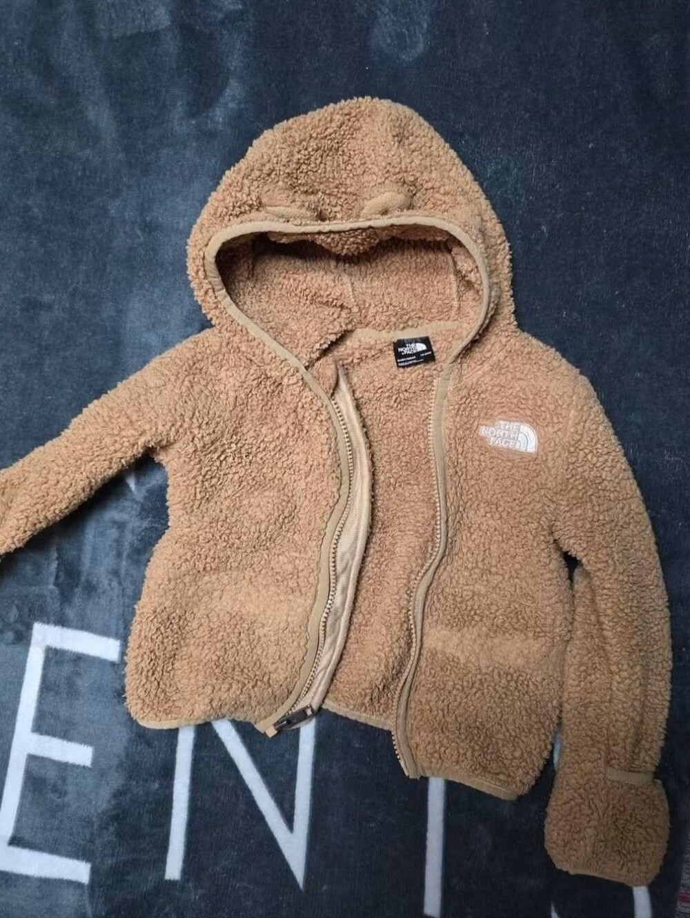 The North Face Fuzzy Jacket